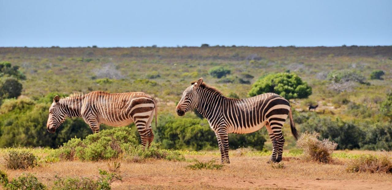 De Hoop Collection - Vlei Cottages De Hoop Nature Reserve ภายนอก รูปภาพ