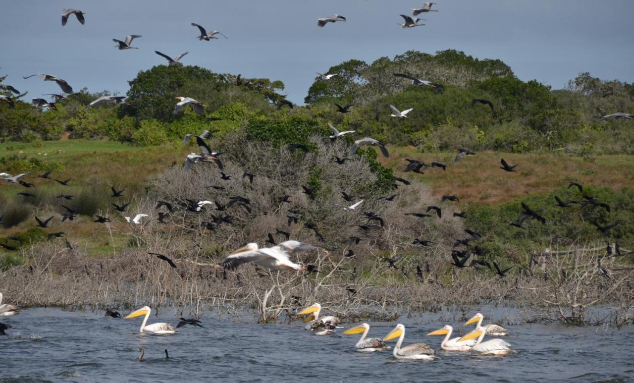 De Hoop Collection - Vlei Cottages De Hoop Nature Reserve ภายนอก รูปภาพ